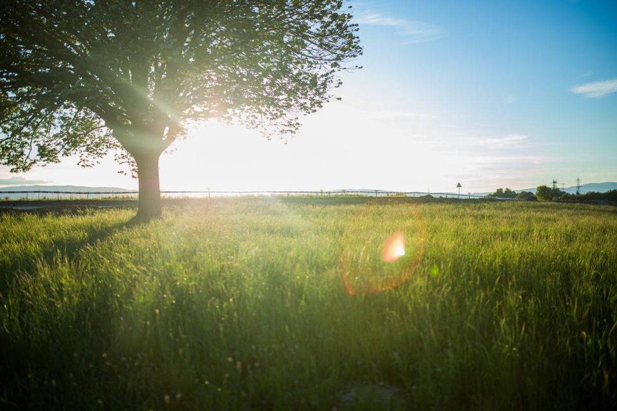 Thumbnail for Morning Prayer Before the Day Begins